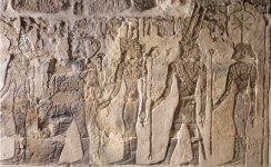 2025-MTP-636 Kruijssen